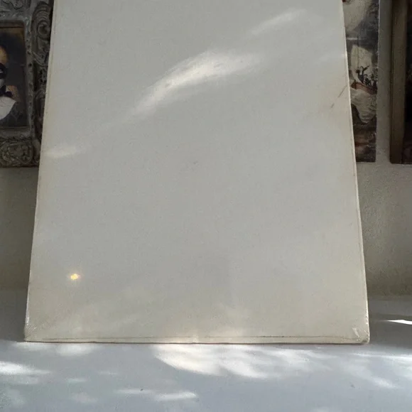 Pass de Duck by T.P. Speer - Limited Edition Cat Art Print 109/200 - Picture 4 of 6